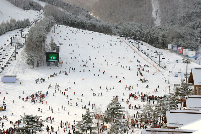 Yongpyong Ski Tour