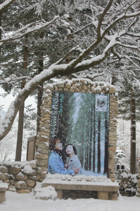 Nami Island tour